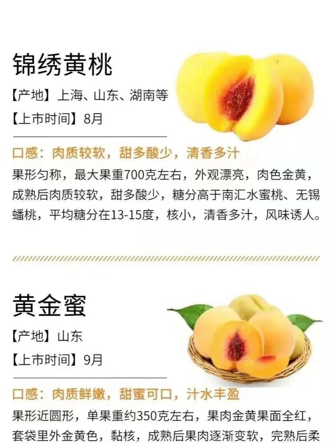 黄桃最新品种，探索未来桃界的新明珠，璀璨闪耀的果实世界