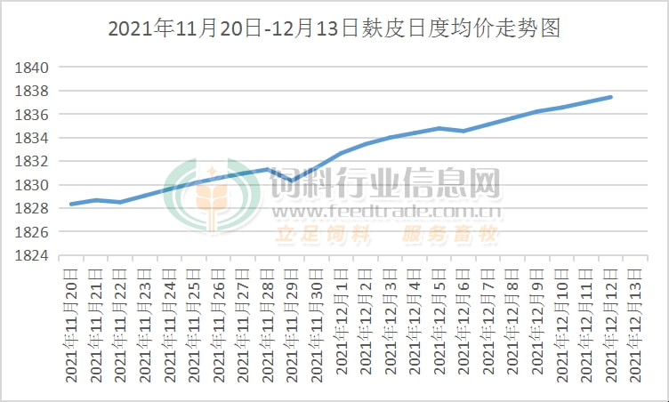 今日麸皮价格最新行情，变化中的学习展现自信与成就的力量