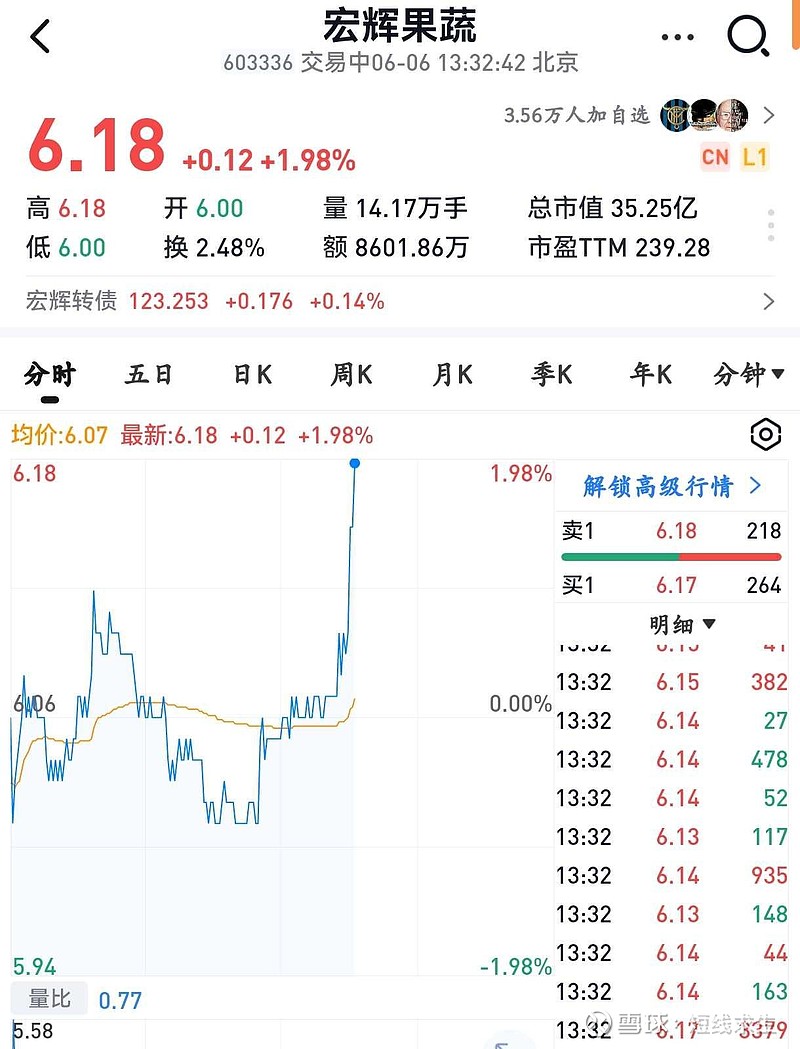 宏辉果蔬股价预测，自然美景背后的股市之旅探索